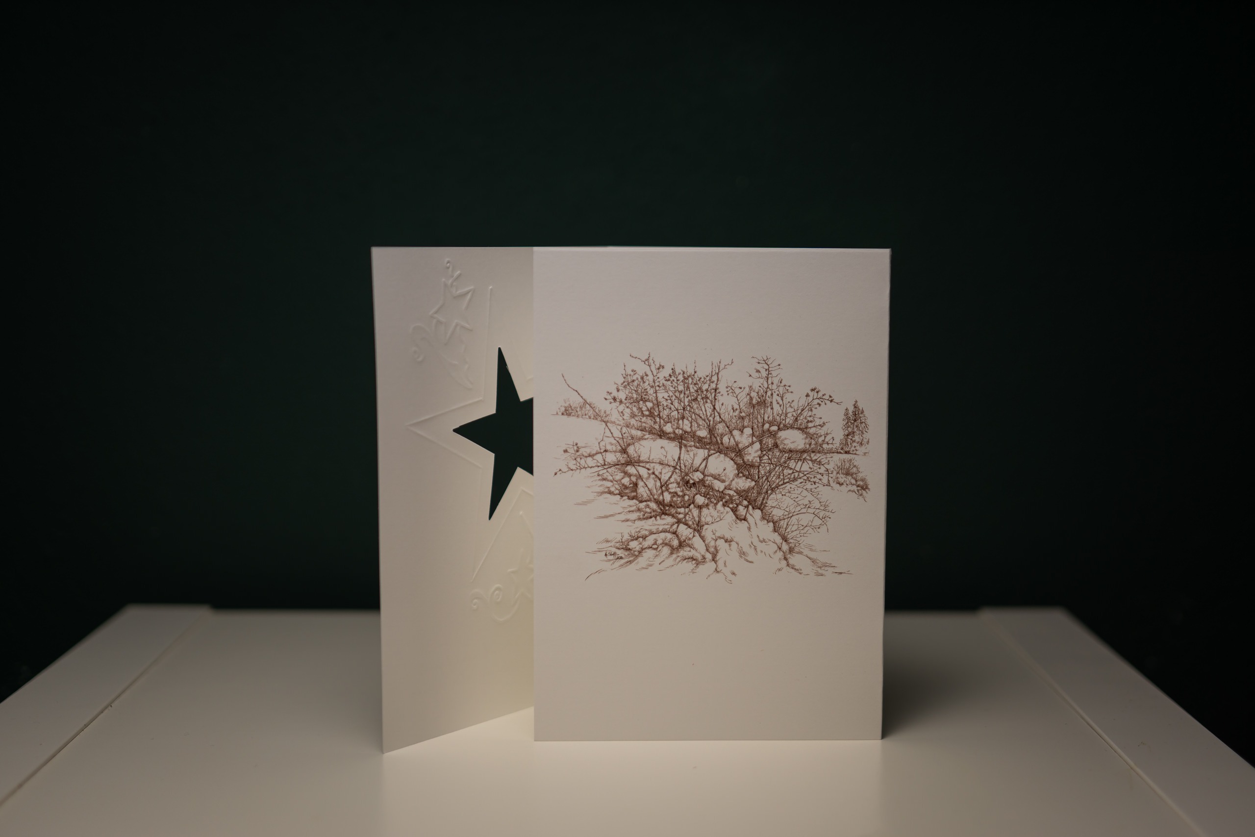 Sternfaltkarte – Bild 2